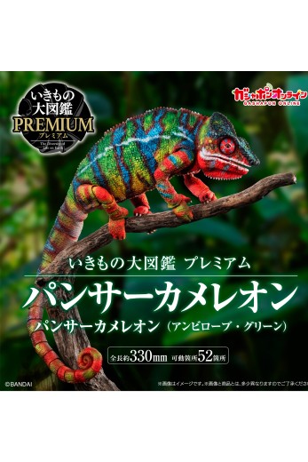 高级生物大图鉴 豹变色龙（安比卢贝·绿）