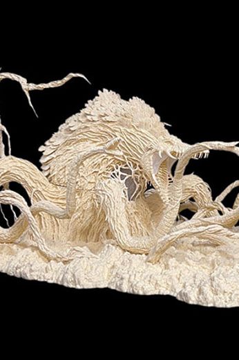 碧奥兰蒂 专业模型套件