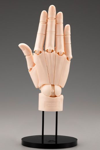艺术参考工具 手部模型/右手 -淡橘色- | Hpoi手办维基
