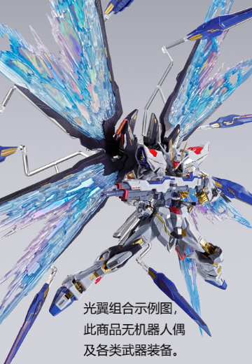 METAL BUILD 强袭自由高达光翼配件包［Re：PACKAGE］ | Hpoi手办维基