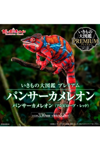 高级生物大图鉴 豹变色龙（安比卢贝·红） | Hpoi手办维基