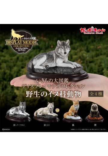 生物大图鉴 陈列模型系列 野生的犬科动物