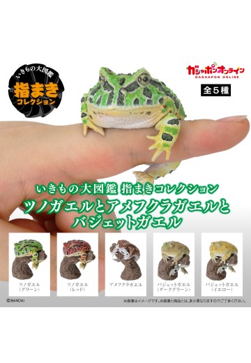 生物大图鉴 卷手指系列 角蛙+散疣短头蛙+圆眼珍珠蛙 | Hpoi手办维基
