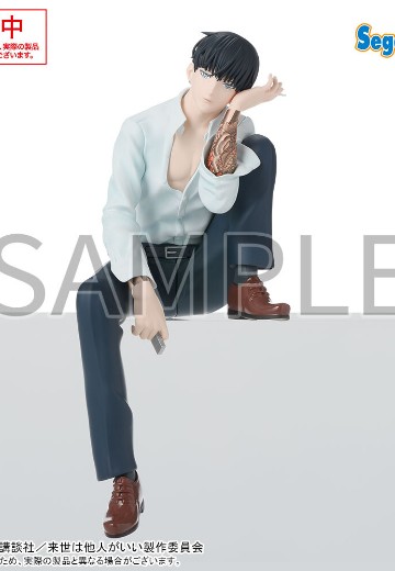 唯愿来世不相识动画版 小坐系列奖品人偶 “鸟苇翔真”