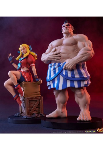 街霸 神月卡琳 与 本田 | Hpoi手办维基