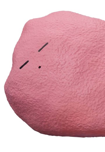 孤独摇滚！动画版 发光真菌小孤独