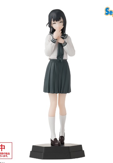 学生会也有洞！ Desktop×Decorate Collections　“照井有栖”