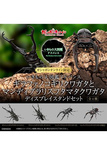 进化生物大图鉴 长颈鹿锯锹+巨颚叉角锹形虫 展示架套装