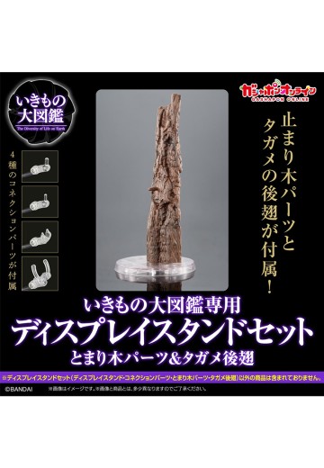 生物大图鉴专用 展示架套装 栖架+田鳖后翅 | Hpoi手办维基