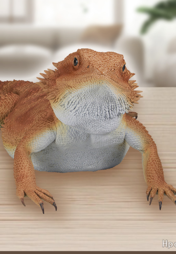 一番赏 爬行动物和两栖动物 ～小小的伙伴～ A奖 鬃狮蜥玩偶 | Hpoi手办维基