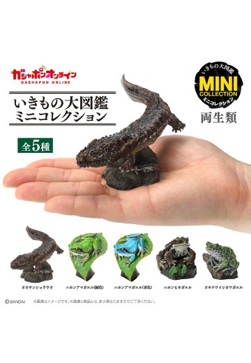 生物大图鉴 迷你系列 两栖类 | Hpoi手办维基