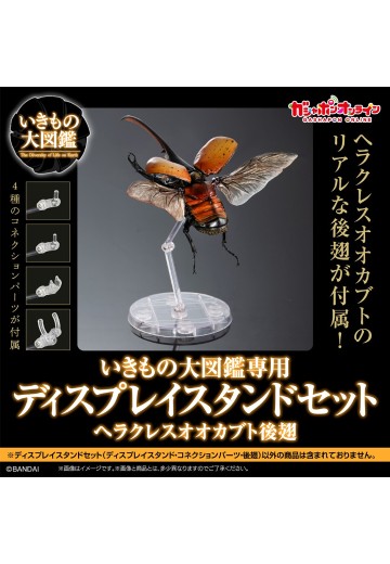 生物大图鉴专用 展示架套装 长戟大兜虫后翅 | Hpoi手办维基