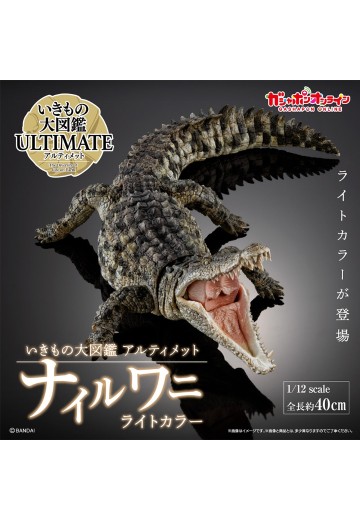 终极生物大图鉴 尼罗鳄（浅色）