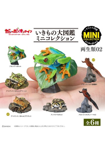 生物大图鉴 迷你系列 两栖类02 | Hpoi手办维基