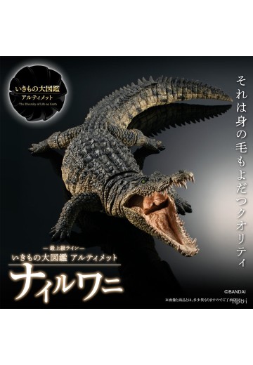 终极生物大图鉴系列 尼罗鳄 | Hpoi手办维基