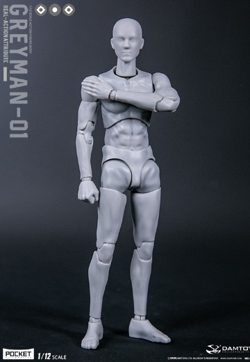DAMTOYS 1/12 可动人形 “灰人”-NO.DPS11 | Hpoi手办维基