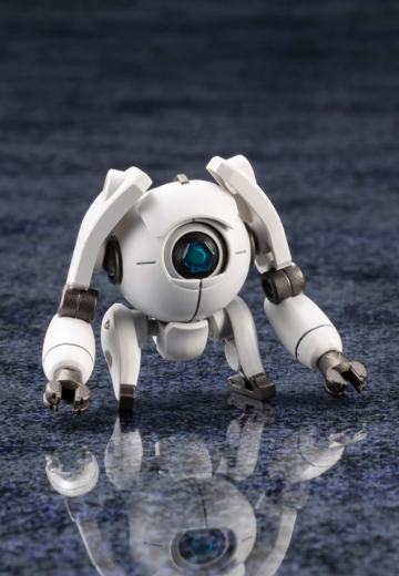 六角机牙 ALTERNATIVE ORB EARTHCLINE BIOMECHANICS