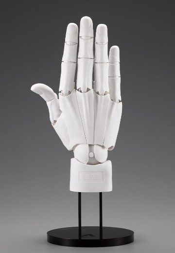 艺术参考工具 手部模型 男/右手 -白色- | Hpoi手办维基