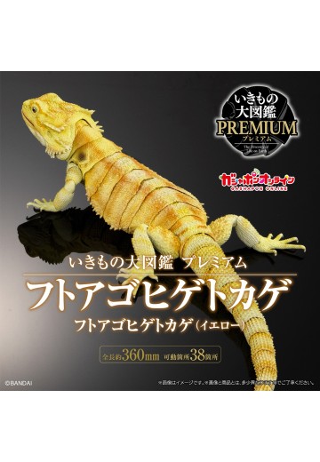 高级生物大图鉴 鬃狮蜥（黄色） | Hpoi手办维基