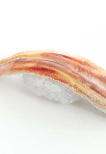 寿司组装模型 鳗鱼寿司 | Hpoi手办维基