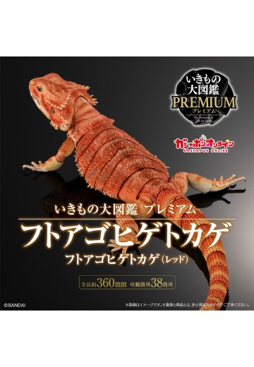 高级生物大图鉴 鬃狮蜥（红色） | Hpoi手办维基