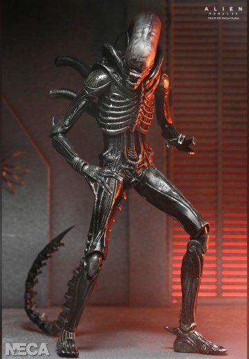 异形：夺命舰 - 终极异形 XX121 7英寸可动人偶