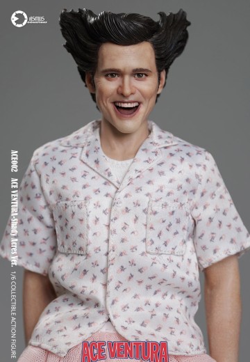 神探飞机头  疯人院版 | Hpoi手办维基