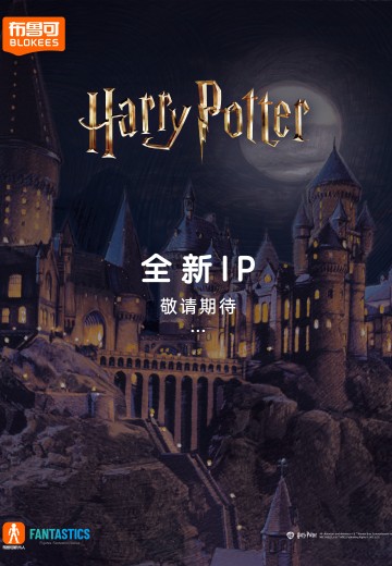 布鲁可积木人奇迹版 哈利·波特系列新品 | Hpoi手办维基