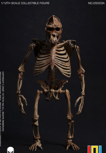 NO.ES003A 掌上精灵系列 猩猩骷髅骨架素体-原色版 | Hpoi手办维基