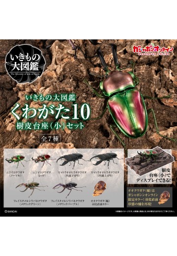 生物大图鉴 锹甲10 树皮底座（小号）套装