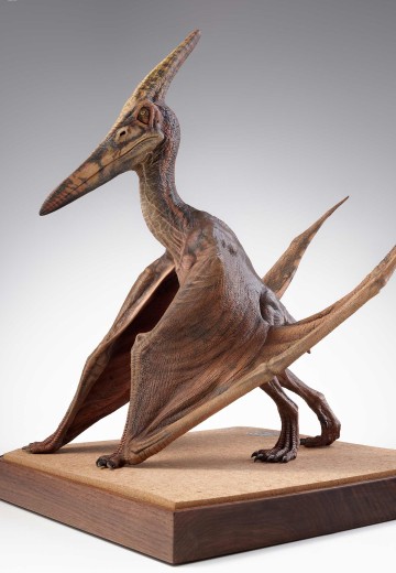 侏罗纪公园 3：翼龙道具复制品 | Hpoi手办维基