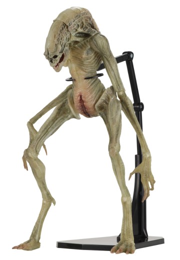 NECA 异形 7 英寸比例可动人偶豪华版 异形4:复活 新生儿（逆种） | Hpoi手办维基