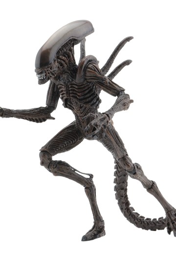 NECA 异形 - 7 英寸比例可动人偶 - 第 14 系列 - 异形复活战士