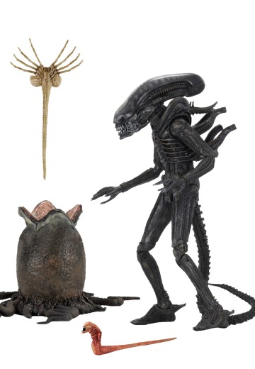 NECA《异形》40周年纪念终极版大型异形（Big Chap） | Hpoi手办维基