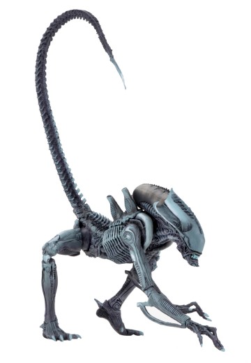 NECA 异形大战铁血战士 街机版 蜘网异形 可动人偶 | Hpoi手办维基