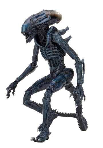异形大战铁血战士 - 蛛网异形 7 英寸比例可动人偶（电影配色）