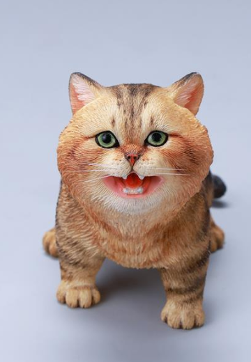 JXK277A 哇哇猫 | Hpoi手办维基