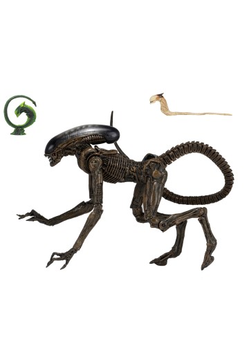 NACE 异形3-7英寸比例可动人偶——终极异形犬 | Hpoi手办维基