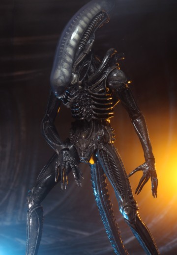 NECA-异形 1/4 比例可动人偶 – 40 周年纪念版 Big Chap | Hpoi手办维基