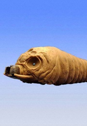 电影怪兽系列 摩斯拉幼体 2004年（2003）（雄性） | Hpoi手办维基