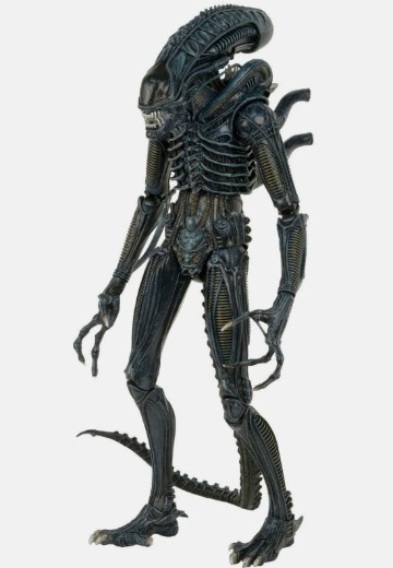 NECA 异形 1/4 比例战士可动人偶（1986 年版） | Hpoi手办维基