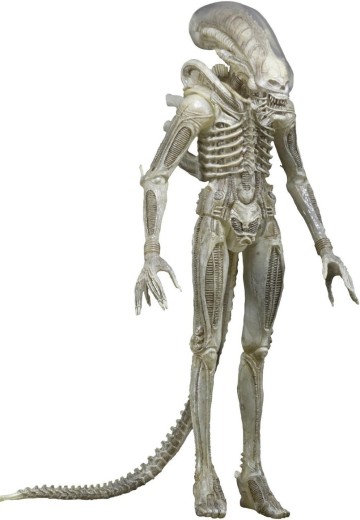 NECA 异形 1/4 比例半透明概念原型套装 可动人偶 | Hpoi手办维基