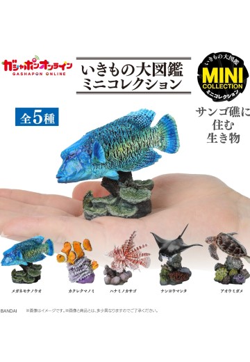 生物大图鉴迷你收藏系列 栖息在珊瑚礁的生物 | Hpoi手办维基