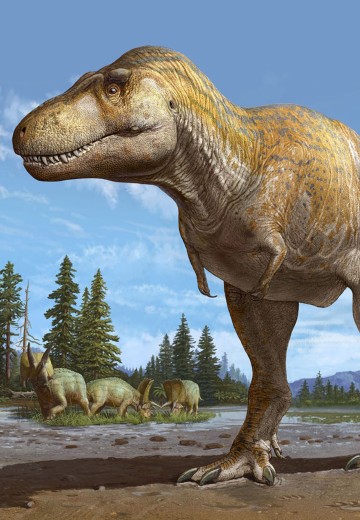 暴龙（霸王龙）