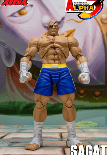 少年街霸3 沙加特 “ STORM ARENA”