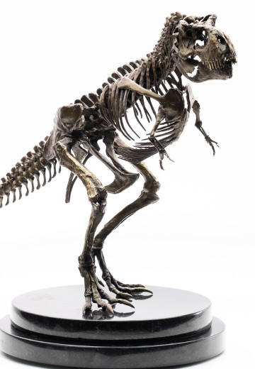 霸王龙青铜骨架 | Hpoi手办维基