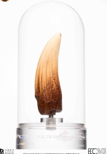 侏罗纪公园霸王龙牙齿复制品 | Hpoi手办维基