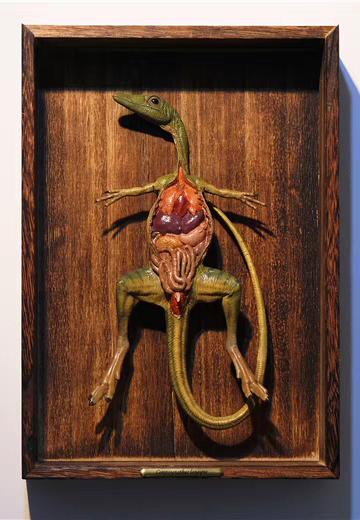 奇异系列 秀颚龙 | Hpoi手办维基