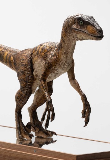 《侏罗纪公园》1:4比例迅猛龙原型雕塑 | Hpoi手办维基