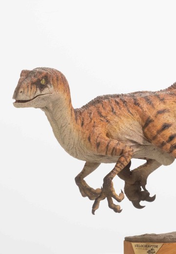 雄性迅猛龙模型 - 侏罗纪世界：失落的世界 | Hpoi手办维基